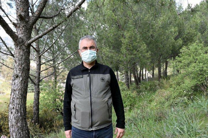 <p>Derince, çam kese böceğinin zararıyla ilgili olarak kamuoyunda bir takım yanlış bilgiler olduğunu dile getirerek şöyle konuştu: "Çam kese böceği kesinlikle ormanları kurutmaz. Büyümesini yavaşlatır ama 2-3 yıl mücadele edilmese bile kurutmaz. Kışın sonlarına doğru kurumuş gibi gözükse de ağaçlar daha sonra yeşerir. Yangınlarla çam kese böceği mukayese ediliyor. O kadar zararlı bir böcek değil. Yani yangınlarla mukayese edilebilecek kadar çok zararı olan bir böcek değil. Biz de zaten çalışmalarımızla bu böceği dengede tutmaya çalışıyoruz. Sıfırlamamız mümkün değil ancak bir dengede tutup tabiatın dengesini muhafaza etmek istiyoruz."</p>