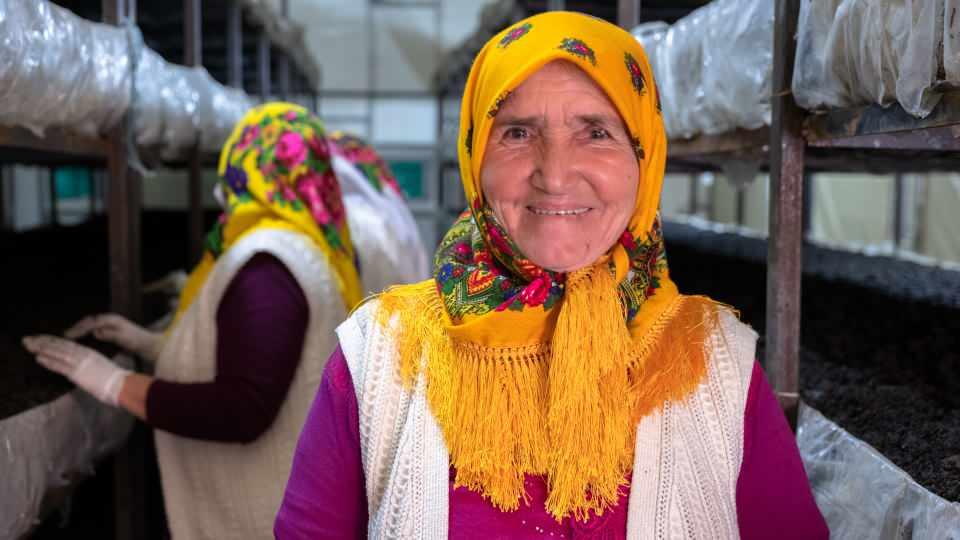<p>Bölgemizde tarıma elverişli arazi olmadığı için devlet böyle bir proje yapmış. Çok memnunuz, herkesin yapmasını tavsiye ediyoruz. Kurduğumuz seralarla 3 ay önce üretime başladık. Köyümüzdeki kadınlara 1 ayda toplam 35-40 bin TL arasında ödeme yapacağız. Şu anda ikinci hasadımız bekliyoruz."</p>
<p> </p>