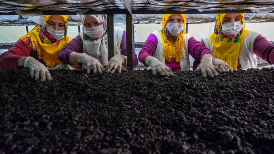 <p>Mantar seralarının mahalleye gelir getirdiğini ifade eden Kooperatifin Yönetim Kurulu Başkanı Memiş Boz, şunları söyledi:</p>

<p>"Köyümüzün yüzde 70'i kooperatife üye. Çadırları kooperatif adına kurduk, işletmesini yapıyoruz. Serada çalışanlar genellikle kadınlar. Köyümüzdeki kadınlara da iş imkanı oldu. </p>
