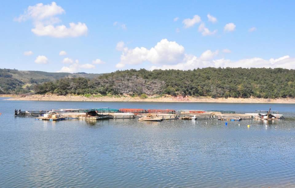 <p>Geçen yıl koronavirüsün başlamasıyla toplu yemek yerlerinin kapanmasından dolayı hem Türkiye hem de Avrupa pazarında kayba uğradık.</p>