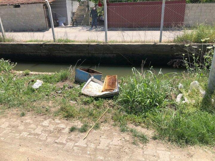 <p>Yapıcı, kovanlarda temizlik yaparken arıların saldırısına uğradı.</p>
