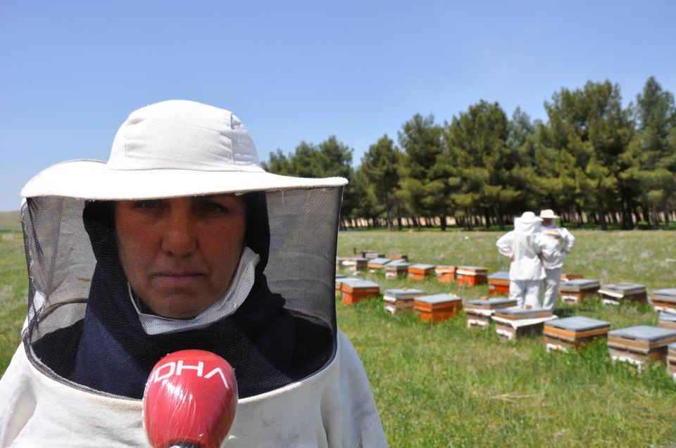 <p>Bu iş bize dedelerimizden kaldı. Ben de çocuklarıma öğretiyorum. Eltilerimle birlikte buraya geliyoruz. Bu işi kol kola yapıyoruz. Sabah saat 7’den, akşama kadar arılarımızla uğraşıyoruz. </p>