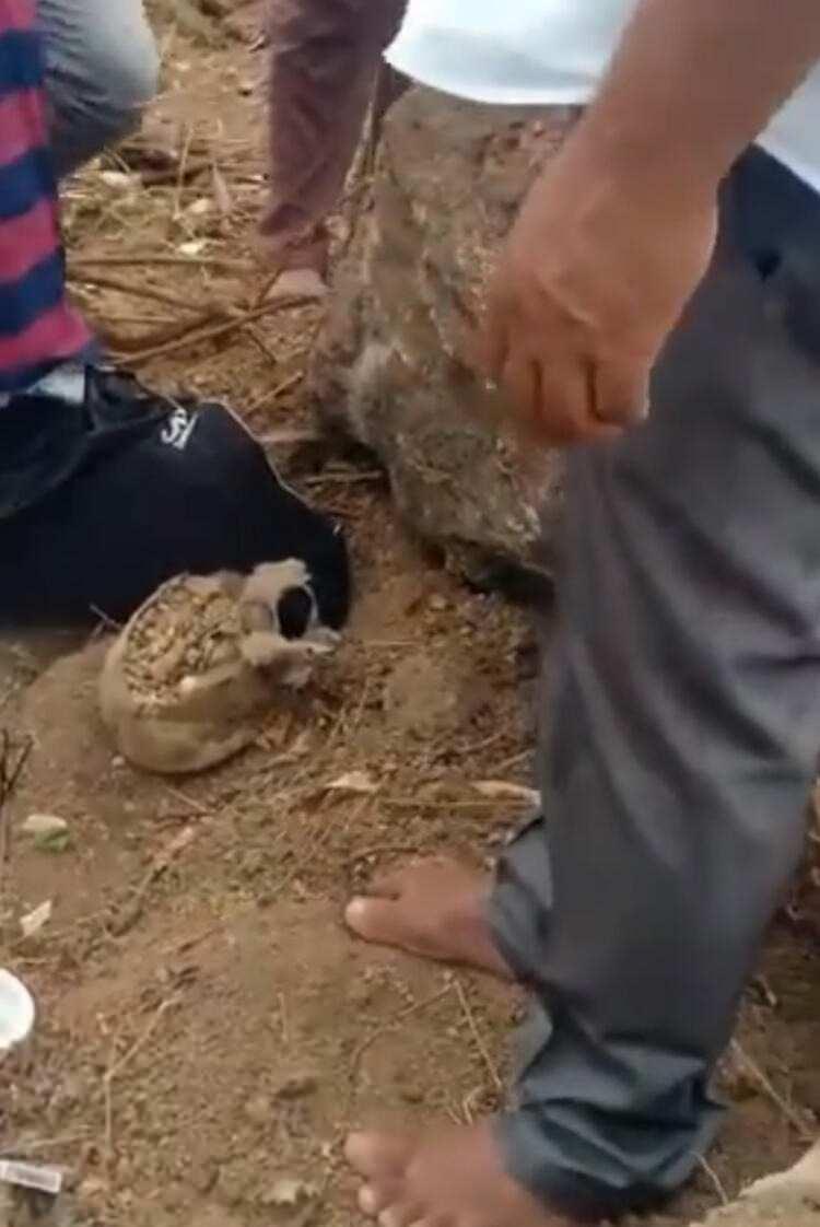 <p>Pembarthi köy meclisi üyesi Anjaneyula Goud, bölgede kazı yapılması halinde daha fazla hazine bulunacağını söyledi ve ekledi: "Geçmişte burada bir tapınağın olduğundan söz edilmişti. Pek çok kişi buna inanmamıştı. Ancak söz konusu çömleğin ortaya çıkmasından sonra bundan eminiz."</p>

<p> </p>
