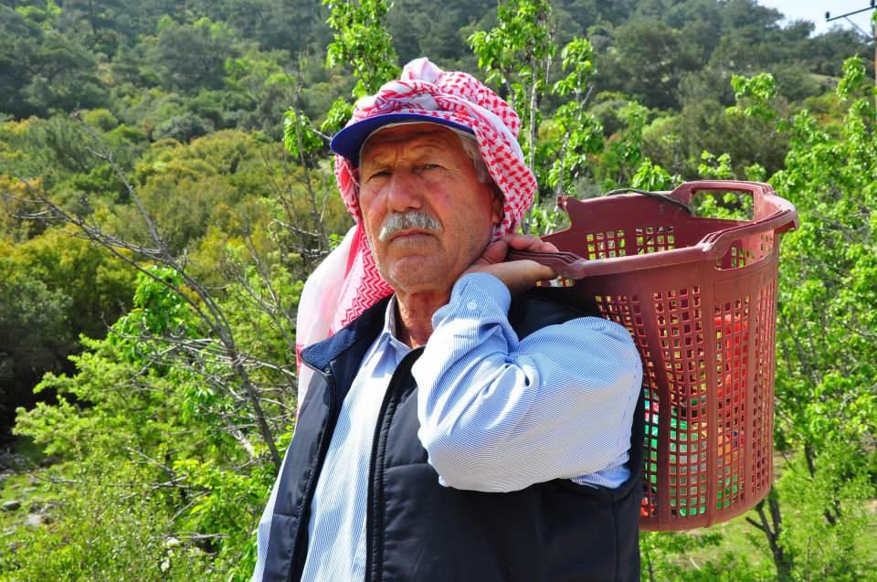 <p>Traktör aldıktan sonra zeytin yetiştiriciliği yapmaya başladım. Ahlat ağaçları ve benzeri yaban ağaçlara erik, kayısı, armut ve incir ağaçları aşılıyorum. </p>
