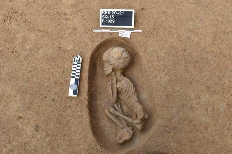 <p>Mısır'daki arkeologlar, Nil Deltası'nda yaklaşık 5 bin yıl öncesine ait yetişkin ve çocukların kalıntılarını içeren 110 antik mezar ortaya çıkardı.</p>

<p> </p>
