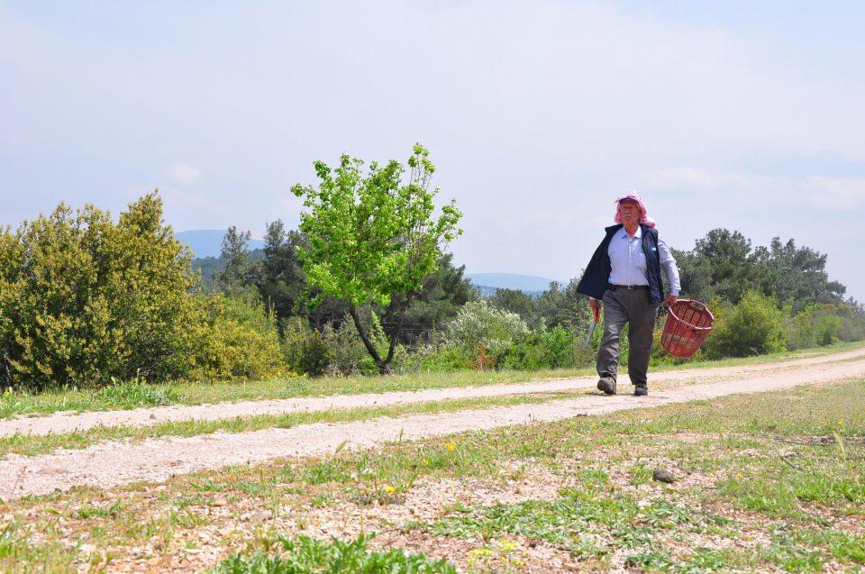 <p>4 yılda 1500 yabani ağaca erik, kayısı, armut ve incir aşılayan Uzun, kuşların aç kalmasını önlerken, doğanın da güzelleşmesini sağlıyor. Yaban ağaçlarının meyve verdiğini görünce mutlu olduğunu belirten Hüseyin Uzun, "Emekli olduktan sonra Hatıplar Mahallesi'ne yerleştim. </p>

