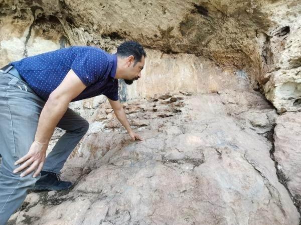 Türkiye'de heyecanlandıran gelişme! 8 bin yıllık mağara resimler bulundu! Bakın ne çizmişler