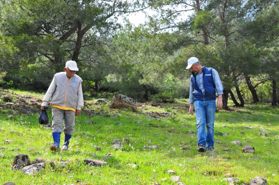 <p>Mantar topladığımı bilen eş, dosttan da sipariş alıyoruz. Fiyatı da oldukça iyi" diye konuştu.</p>
