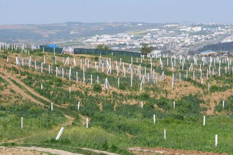 <p>Bunun üzerine harekete geçen bazı kişilerin özellikle gurbetçilerin yoğun olarak yaşadığı Avrupa'da, Trakya'dan parsel satmaya başladığı öğrenildi. Emlakçılar ve uzmanlar, arsa spekülatörlerine karşı halkı uyardı.</p>
<p> </p>