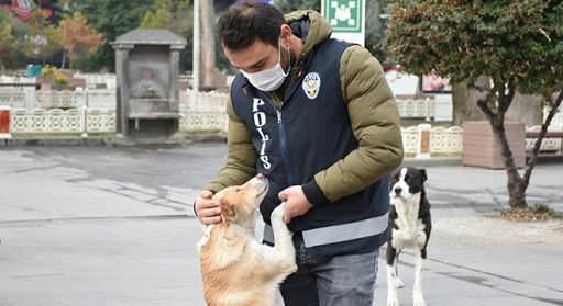 <p>İkametinin önü ile sınırlı olmak kaydıyla evcil hayvanlarının zorunlu ihtiyacını karşılamak üzere dışarı çıkanlar</p>
<p> </p>