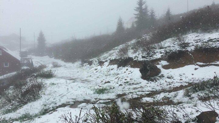 <p>Dün geceden itibaren Giresun’un Kümbet, Bektaş, Paşakonağı, Kulakkaya ve Trabzon il sınırında bulunan Sis Dağı yaylalarında kar yağışı yaşandı.</p>
