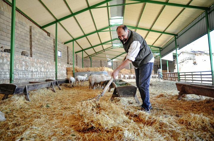 <p>Dündar kardeşler, her sabah erkenden kalkıp kuzularıyla ilgileniyor, koyunlarını merada otlatıyor ve tarımsal üretim yapıyor. İki kardeş, ekonomik kazanç sağlamanın yanı sıra köylerinde huzurlu bir yaşam sürmenin mutluluğunu da yaşıyor.</p>
<p> </p>
