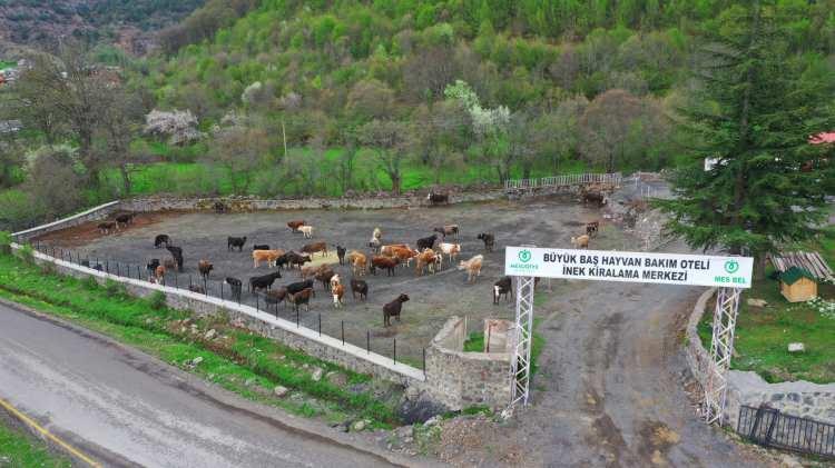 <p>Burada bazı hemşerilerimizin hayvanları ve Mesudiye Belediyesi’ne ait hayvanlar da var. Buradaki amacımız, hayvancılığı Mesudiye’de nasıl geliştirebiliriz? Vatandaşa nasıl bir rahatlık elde edebiliriz? Özellikle bu sene uyguladığımız bir çalışma daha var. Hastalanan ve durumu iyi olmayan çiftçilerimiz bizi aradıklarında biz onların hayvanlarını alıp burada bakıyoruz” dedi.</p>
