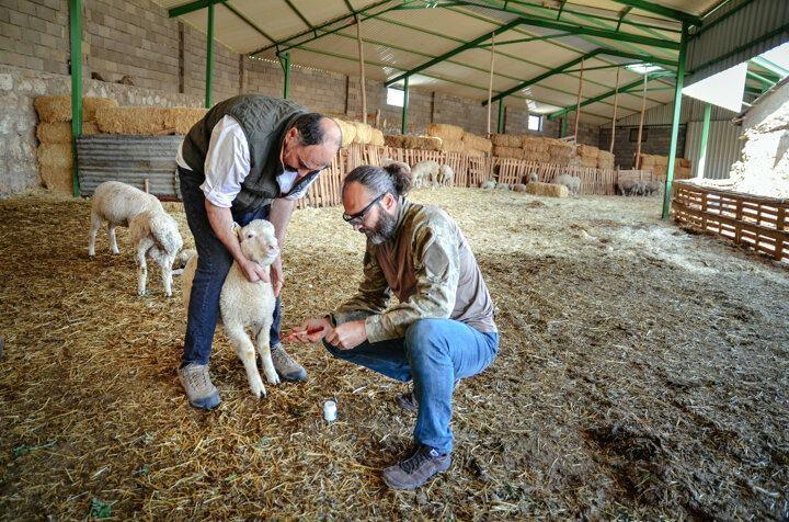 <p><strong>"Bilgisayar oyununda yaşıyor gibiydim"</strong></p>
<p>Geçmişteki işinin daha çok dijital ortamda yürüdüğünü ve soyutluk üzerine kurulu bu düzenin zamanla kendisini rahatsız ettiğini anlatan Dündar, şöyle konuştu:</p>