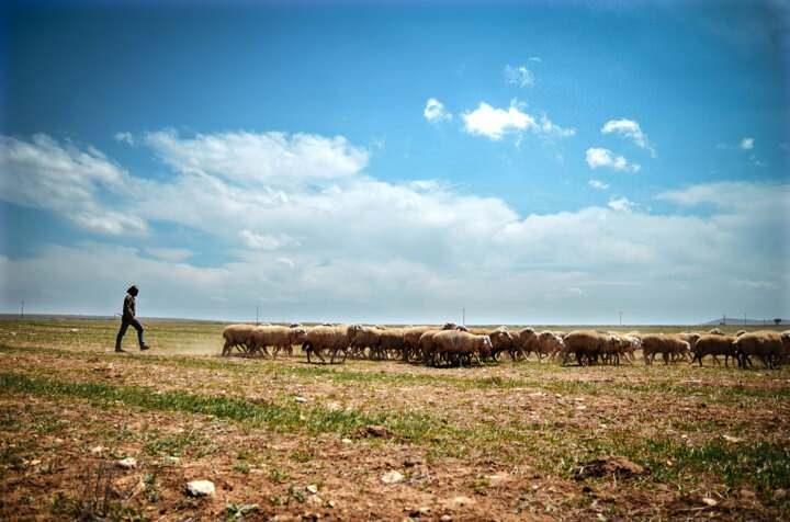 <p>Köye döndükleri ilk zamanlar çok zorlansalar da adapte olmayı başardıklarını belirten Dündar, eski yaşamını hiç özlemediğini ve çok mutlu olduğunu ifade etti.</p>
<p> </p>
