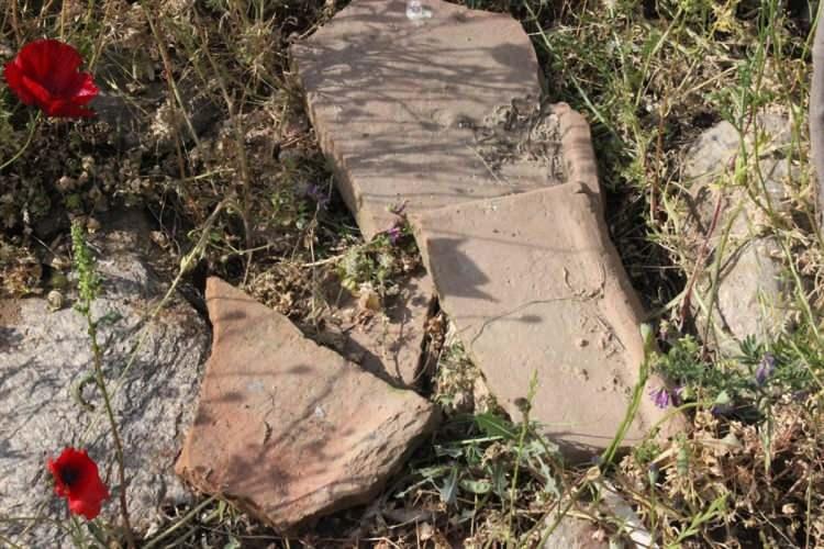 <p>Öte yandan, mülkiyeti hazineye ait olan alanda tarihi kalıntılarla ilgili Ödemiş Müze Müdürlüğü ekiplerinin detaylı incelemelerde bulunacağı bildirildi.</p>