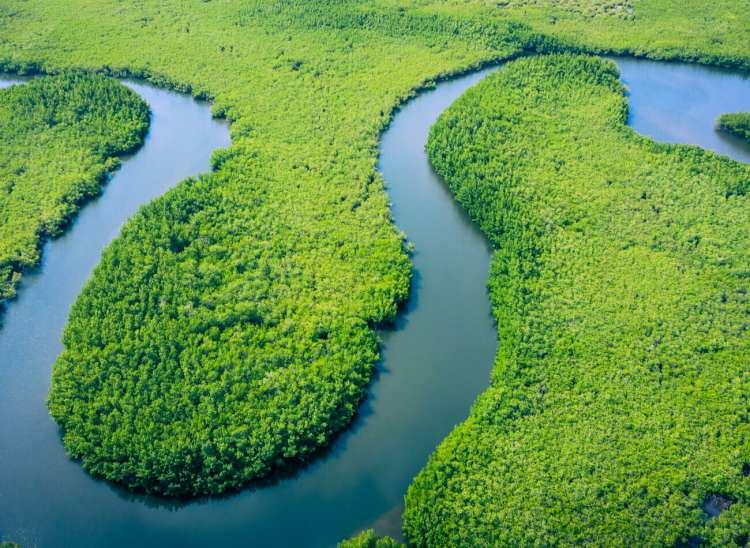 <p>Amazon Nehri</p>

<p>Uzunluğu 6400 kilometreyi bulan. Güney Amerika’da yer alan Amazon Nehri And Dağlarından başlar ve doğuya doğru uzanır. Nehir adından da anlaşılacağı üzere amazon yağmurları ile beslenir, çevresinde bulunan tabiat ile de oldukça dikkat çeker. Ayrıca Atlas Okyanusuna dökülen bu nehir dünya nehirlerinin taşıdığı suyun dörtte birini taşımaktadır</p>

<p> </p>
