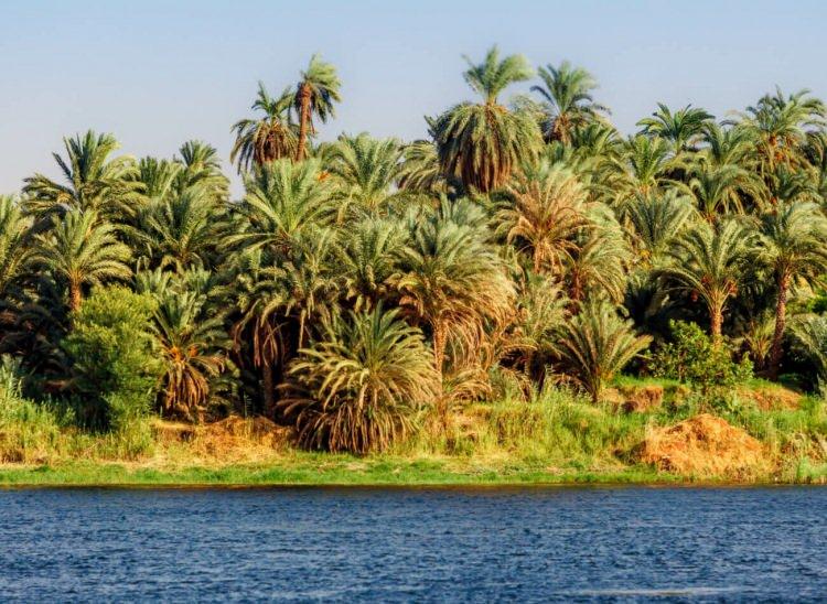 <p><strong>Nil Nehri</strong>​</p>

<p>6650 km uzunluğu ile dünyanın en uzun nehri olma özelliğini taşıyan Nil nehri güneyden kuzeye doğru uzanır ve Afrika Kıtası’nın üçte birini oluşturur. Başta Beyaz ve Mavi ana kol olarak oluşan havzasında gölleri bulundurur. Bu göller arasında yer alan Victoria adlı göl ise dünyadaki en büyük ikinci göl olarak bilinmektedir. İnsanlar arasında ‘yaşamın nehri’ olarak da bilinmektedir. Ayrıca nehirde sandallar aracılığıyla da bir gezinti yapabilirsiniz. </p>
