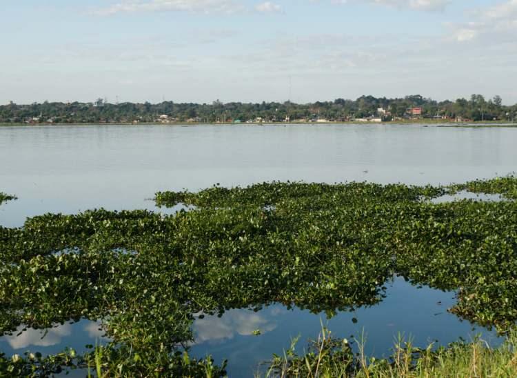 <p>Parana Nehri</p>

<p>​Parana Nehri, Güney Amerika’nın Orta Güney bölgesinde yer almaktadır. Nehir, Brezilya, Paraguay ve Arjantin’de akmaya devam etmektedir.  4880 kilometre uzunluğundadır ve Güney Amerika’daki en uzun nehirlerdendir. Nehir ilk olarak Paraguay Nehri’ne katılır ve daha sonra aşağı doğru akar, burada Atlantik Okyanusu’na akan Rio de la Palata’yı oluşturmak üzere Uruguay Nehri ile yolları kesişir. Nehir yalnızca Amazon Nehri tarafından aşılmaktadır. Nehir ismi Brezilyada bulunan bir kesim tarafından konuşulan eski bir dilde “deniz kadar büyük” anlamına gelen ” para rehe onáva ” ifadesinden gelir</p>

<p> </p>
