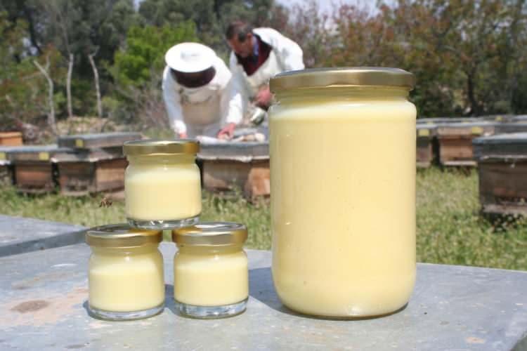 <p>Bursa'da üretimine başlanan arı sütlerine bu yıl koronavirüsten dolayı talep olduça fazladır. </p>