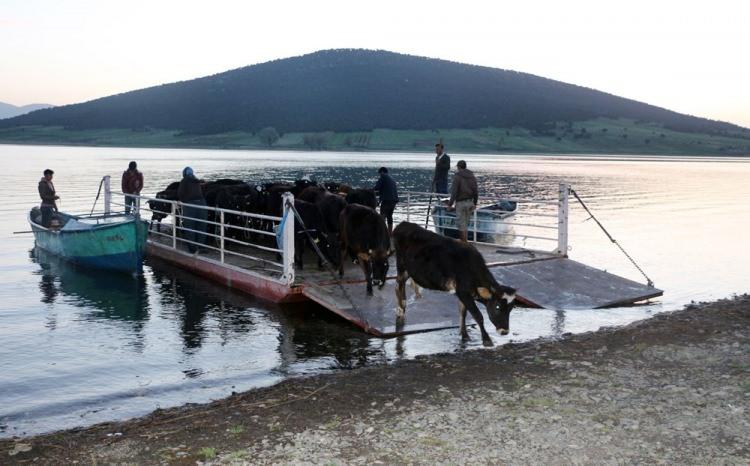 <p>DIŞ DÜNYADAN SOYUTLANDIKLARI İÇİN VİRÜS YOK</p>

<p> </p>

<p>Mada Adası'nda yaşayan yaklaşık 200 kişide bugüne kadar tüm dünyayı etkisi altına alan Covid-19 virüsüne hiç rastlanmadı. </p>
