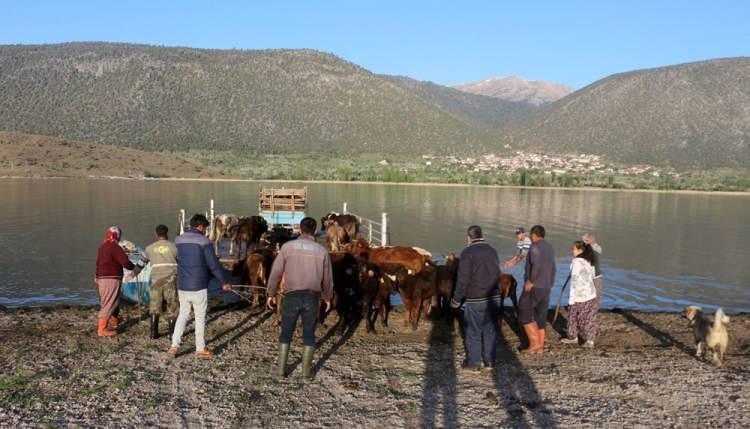 <p>'HAYAT ZOR AMA GÜZEL'</p>

<p> </p>

<p>30 kadar büyükbaş hayvana bakan Hülya Yılmaz "Biz her yıl mayıs ayı başında hayvanlarımızı yaylaya götürür ve orada yaşarız. </p>
