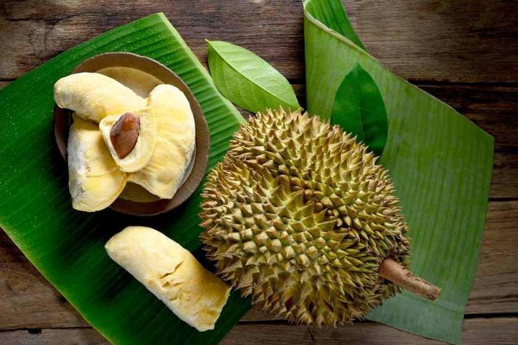 <p><span style="color:#000000"><strong>5 - DURİAN</strong></span></p>
<p><span style="color:#000000"><strong>Endonezya'nın en bilinen lezzetlerinden olan Durian, aşırı tüketimde ölüme ve kan basıncında yükselmelere neden olabiliyor. </strong></span></p>