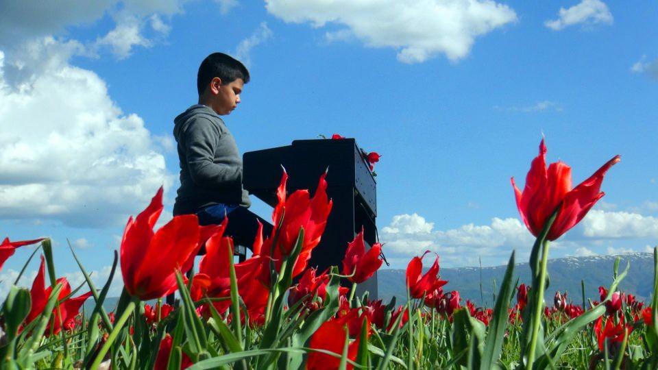 <p>Bahçeşehir Koleji Muş 1071 Kampüsü Kurucusu Serdal Arslan ise, “Bager’in Muş Ovası’nda, lale tarlası içerisinde piyano çalma hayali vardı. </p>
