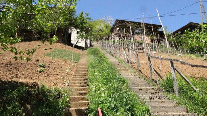 <p>Trabzon'da iki aile arasında 10 yıl önce yaşanan anlaşmazlık sonrası yapılan 'inat' merdivenleri görenleri şaşkına çeviyor.</p>
