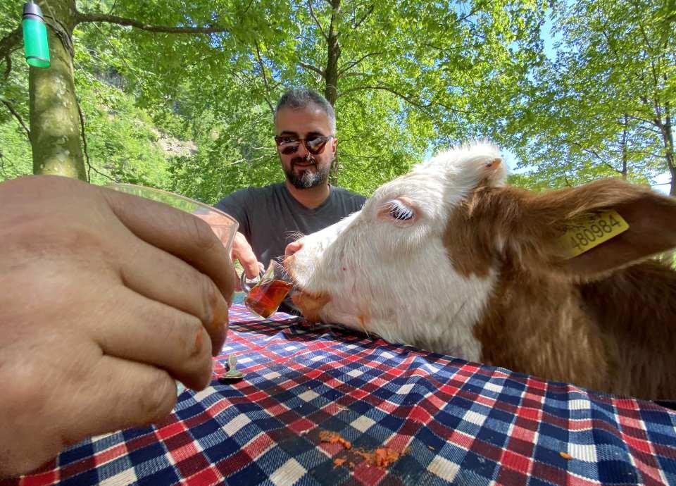 <p>- "Ailenin bir üyesi oldu"</p>

<p>Davut Pirdal, AA muhabirine, "Paşa"nın doğduğundan bu yana kendisinden hiç ayrılmadığını, çok evcil olduğunu söyledi.</p>

<p> </p>
