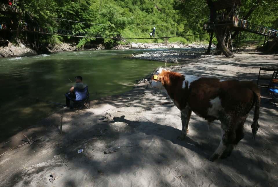 <p>O bana alıştı, ben de ona çok alıştım. Boş zamanlarımı onunla değerlendiriyorum. Beraber balık tutuyoruz fakat suya girmiyor. Suya girmeye de alıştıracağım. </p>