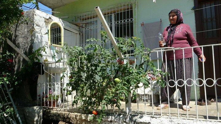 <p>Komşusu Oğuz Yılmaz ise şakına döndüklerini ifade ederek, "Benim hobi bahçem var vermediğim gübrem yok ama bu olacak şey değil” diye konuştu.</p>
