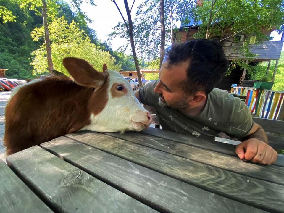 <p>Hayvanları Kurban Bayramı'na yetiştiriyorum ama 'Paşa'ya kıyamam. Annem, babam, eşim, çocuklarım, herkes ona çok alıştı."</p>
<p> </p>