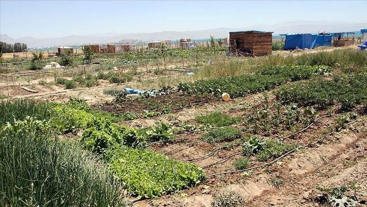 <p>Şehir: Ankara </p>

<p>Arsa (konut imarlı) metrekare fiyatı (TL/m2): 414<br />
<br />
Arsa (konut imarlı) fiyatlarında son 1 yıllık değer değişimi (%): 35<br />
<br />
Arazi (tarla/bağ/bahçe) metrekare fiyatı (TL/m2): 42<br />
<br />
Arazi (tarla/bağ/bahçe) fiyatlarında son 1 yıllık değer değişimi (%): 11</p>
