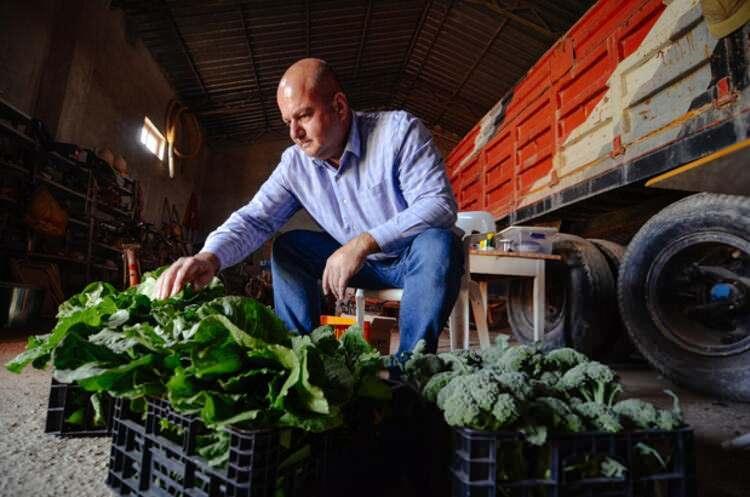 <p>Müşteri sıkıntısı çekmediğini, çevresinden ve anlaştığı marketlerden gelen taleplere yetişemediğini dile getiren Malkondu, sera alanını önce 2 bin, sonra 10 bin metrekareye çıkarmayı hedeflediğini dile getirdi.</p>
<p> </p>
