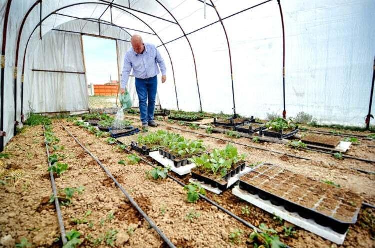 <p>Gençler başta olmak üzere imkanı olan herkese örtü altı üretimi öneren Malkondu, "Bu iş çok keyifli ve pek yorucu da değil. Kendine yetecek kadar üreten çok kişi var.</p>
<p> </p>