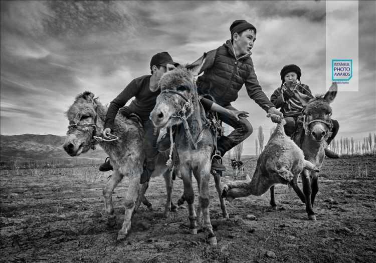 <p>Anadolu Ajansı (AA) tarafından foto muhabirlerini desteklemek amacıyla bu yıl yedincisi d&uuml;zenlenen uluslararası fotoğraf yarışması "Istanbul Photo Awards"da kazananlar a&ccedil;ıklandı. "Seri Spor" dalında Kırgızistan'ın milli sporu Kok Boru'yu ele alan serisiyle Alain Schroeder birinci oldu.</p>
