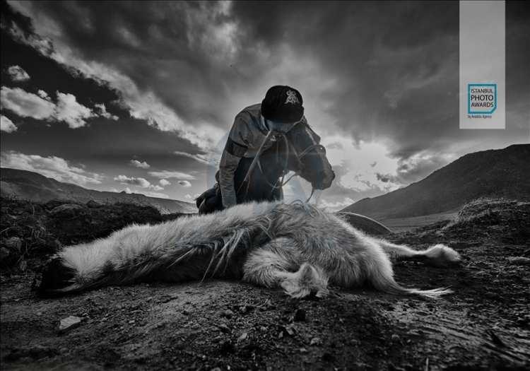 <p>Anadolu Ajansı (AA) tarafından foto muhabirlerini desteklemek amacıyla bu yıl yedincisi d&uuml;zenlenen uluslararası fotoğraf yarışması "Istanbul Photo Awards"da kazananlar a&ccedil;ıklandı. "Seri Spor" dalında Kırgızistan'ın milli sporu Kok Boru'yu ele alan serisiyle Alain Schroeder birinci oldu.</p>

