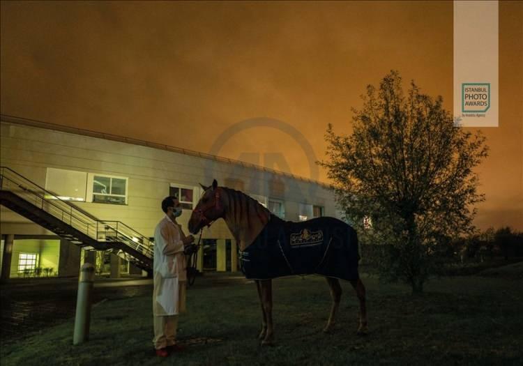 <p>Anadolu Ajansı (AA) tarafından foto muhabirlerini desteklemek amacıyla bu yıl yedincisi d&uuml;zenlenen uluslararası fotoğraf yarışması "Istanbul Photo Awards"da kazananlar a&ccedil;ıklandı. "Seri G&uuml;nl&uuml;k Yaşam" dalında Fransız Jeremy Lempin "Doktor Peyo ve Hassen" &ccedil;alışmasıyla birinci oldu.</p>
