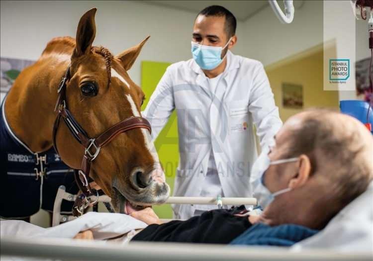 <p>Anadolu Ajansı (AA) tarafından foto muhabirlerini desteklemek amacıyla bu yıl yedincisi d&uuml;zenlenen uluslararası fotoğraf yarışması "Istanbul Photo Awards"da kazananlar a&ccedil;ıklandı. "Seri G&uuml;nl&uuml;k Yaşam" dalında Fransız Jeremy Lempin "Doktor Peyo ve Hassen" &ccedil;alışmasıyla birinci oldu. ( Jeremy Lempin - Anadolu Ajansı )</p>
