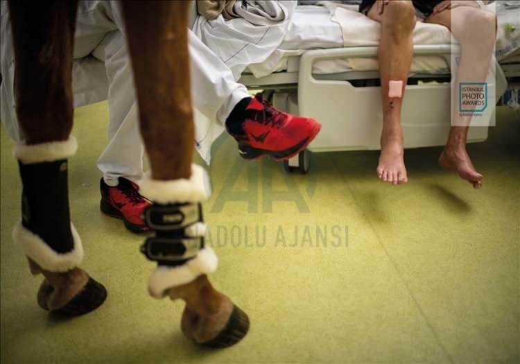 <p>Anadolu Ajansı (AA) tarafından foto muhabirlerini desteklemek amacıyla bu yıl yedincisi d&uuml;zenlenen uluslararası fotoğraf yarışması "Istanbul Photo Awards"da kazananlar a&ccedil;ıklandı. "Seri G&uuml;nl&uuml;k Yaşam" dalında Fransız Jeremy Lempin "Doktor Peyo ve Hassen" &ccedil;alışmasıyla birinci oldu. ( Jeremy Lempin - Anadolu Ajansı )</p>
