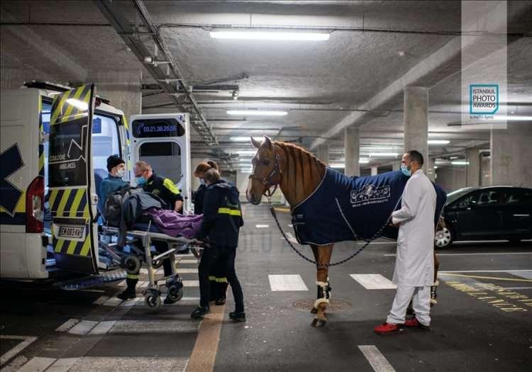 <p>Anadolu Ajansı (AA) tarafından foto muhabirlerini desteklemek amacıyla bu yıl yedincisi d&uuml;zenlenen uluslararası fotoğraf yarışması "Istanbul Photo Awards"da kazananlar a&ccedil;ıklandı. "Seri G&uuml;nl&uuml;k Yaşam" dalında Fransız Jeremy Lempin "Doktor Peyo ve Hassen" &ccedil;alışmasıyla birinci oldu.</p>
