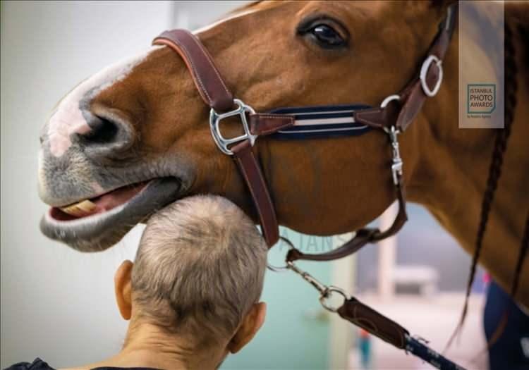 <p>Anadolu Ajansı (AA) tarafından foto muhabirlerini desteklemek amacıyla bu yıl yedincisi d&uuml;zenlenen uluslararası fotoğraf yarışması "Istanbul Photo Awards"da kazananlar a&ccedil;ıklandı. "Seri G&uuml;nl&uuml;k Yaşam" dalında Fransız Jeremy Lempin "Doktor Peyo ve Hassen" &ccedil;alışmasıyla birinci oldu.</p>
