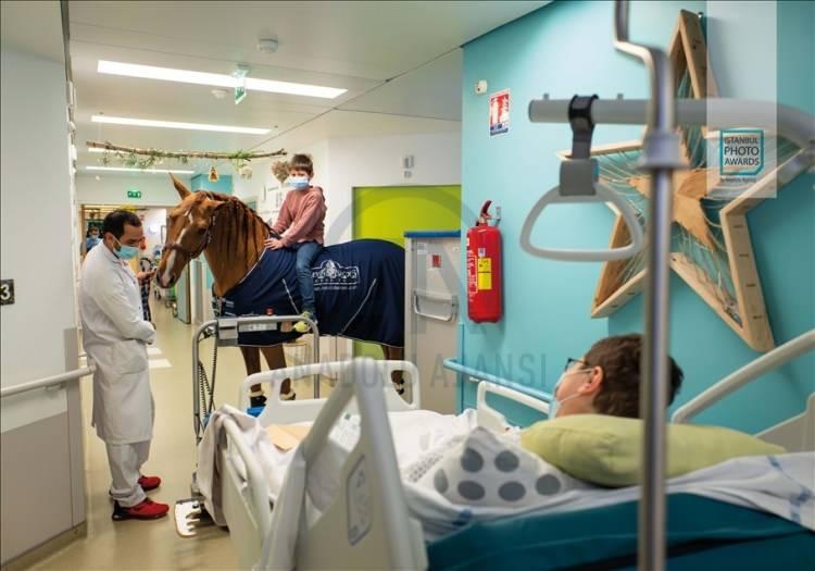 <p>Anadolu Ajansı (AA) tarafından foto muhabirlerini desteklemek amacıyla bu yıl yedincisi d&uuml;zenlenen uluslararası fotoğraf yarışması "Istanbul Photo Awards"da kazananlar a&ccedil;ıklandı. "Seri G&uuml;nl&uuml;k Yaşam" dalında Fransız Jeremy Lempin "Doktor Peyo ve Hassen" &ccedil;alışmasıyla birinci oldu.</p>
