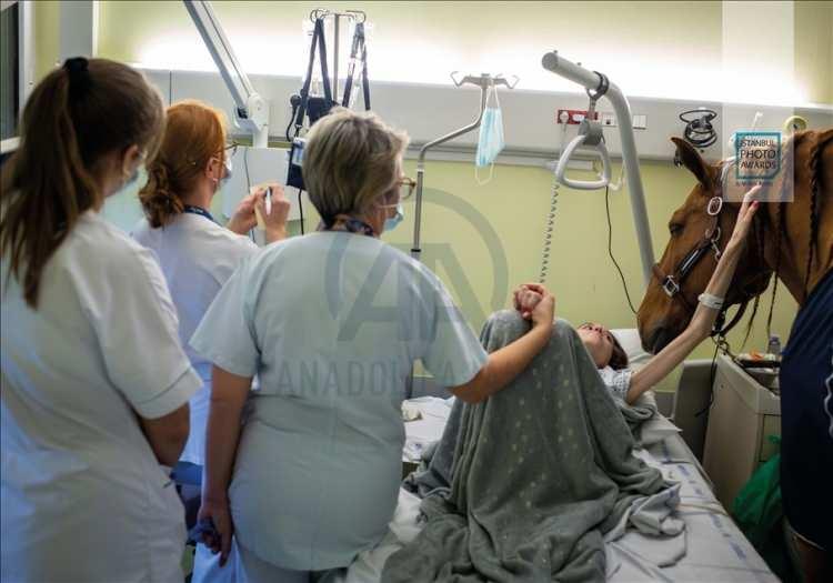 <p>Anadolu Ajansı (AA) tarafından foto muhabirlerini desteklemek amacıyla bu yıl yedincisi d&uuml;zenlenen uluslararası fotoğraf yarışması "Istanbul Photo Awards"da kazananlar a&ccedil;ıklandı. "Seri G&uuml;nl&uuml;k Yaşam" dalında Fransız Jeremy Lempin "Doktor Peyo ve Hassen" &ccedil;alışmasıyla birinci oldu. ( Jeremy Lempin - Anadolu Ajansı )</p>
