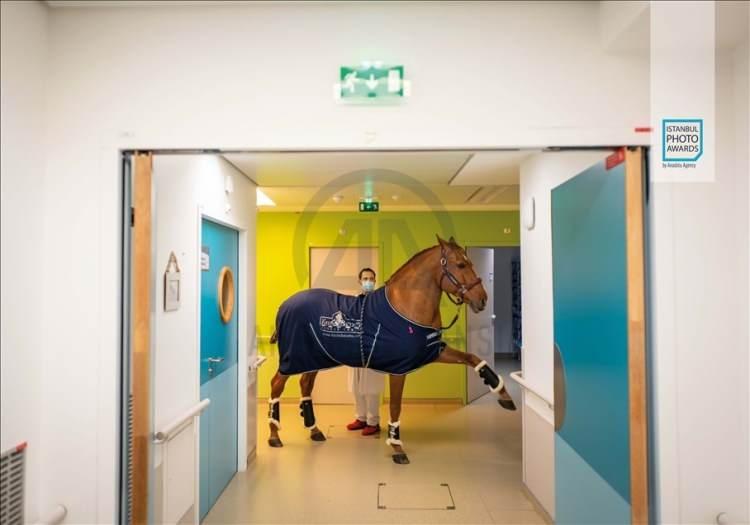 <p>Anadolu Ajansı (AA) tarafından foto muhabirlerini desteklemek amacıyla bu yıl yedincisi d&uuml;zenlenen uluslararası fotoğraf yarışması "Istanbul Photo Awards"da kazananlar a&ccedil;ıklandı. "Seri G&uuml;nl&uuml;k Yaşam" dalında Fransız Jeremy Lempin "Doktor Peyo ve Hassen" &ccedil;alışmasıyla birinci oldu. ( Jeremy Lempin - Anadolu Ajansı )</p>
