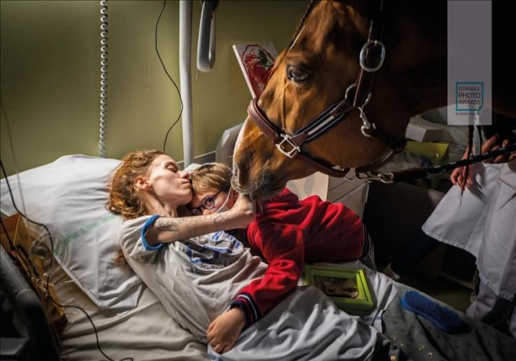 <p>Anadolu Ajansı (AA) tarafından foto muhabirlerini desteklemek amacıyla bu yıl yedincisi d&uuml;zenlenen uluslararası fotoğraf yarışması "Istanbul Photo Awards"da kazananlar a&ccedil;ıklandı. "Seri G&uuml;nl&uuml;k Yaşam" dalında Fransız Jeremy Lempin "Doktor Peyo ve Hassen" &ccedil;alışmasıyla birinci oldu.</p>
