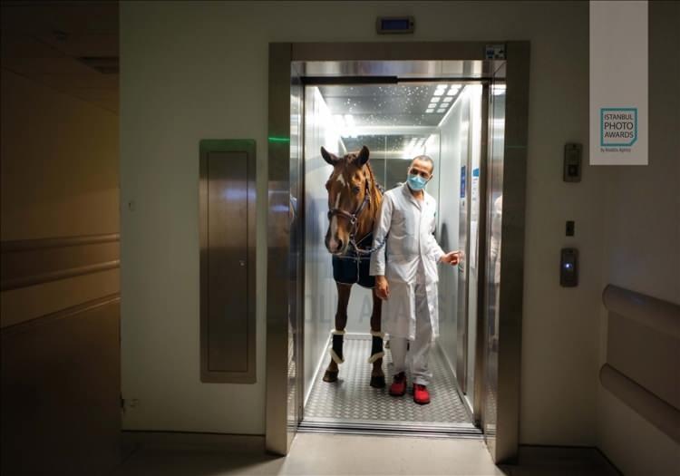 <p>Anadolu Ajansı (AA) tarafından foto muhabirlerini desteklemek amacıyla bu yıl yedincisi d&uuml;zenlenen uluslararası fotoğraf yarışması "Istanbul Photo Awards"da kazananlar a&ccedil;ıklandı. "Seri G&uuml;nl&uuml;k Yaşam" dalında Fransız Jeremy Lempin "Doktor Peyo ve Hassen" &ccedil;alışmasıyla birinci oldu.</p>
