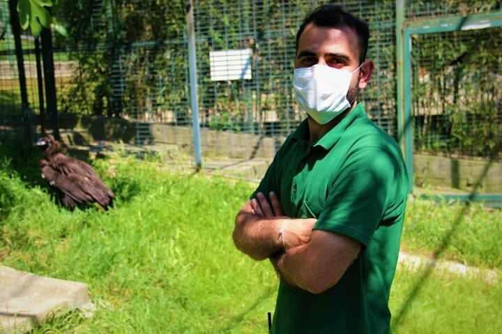 <p>Nesilleri ciddi anlamda tehdit altında bulunan en büyük yırtıcı kuş türü olan kara akbabaların bir bireyi ise Kocaeli’nin Darıca ilçesinde bulunan Faruk Yalçın Hayvanat Bahçesi’nde yer alıyor. Yaklaşık 3 ay önce doğada geçirdiği bir kaza sonrasında bir gözünü kaybeden kara akbaba, ilk olarak tedavisi ve rehabilitasyonu yapılmak üzere Ankara’ya götürüldü. Daha sonra Darıca Faruk Yalçın Hayvanat Bahçesi’ne getirilen kara akbabanın rehabilitasyon sürecine burada devam edildi. Burada yaşamını devam ettiren kara akbaba, kendisine bir eş bulunması durumunda üreme programına alınacak.</p>
