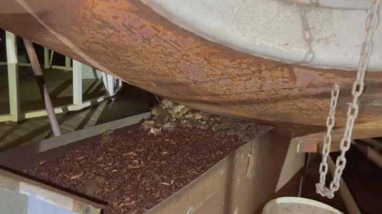 <p>Kemirgenlerin mağazalara ve dükkanlara pislik bıraktığı, hatta bölgedeki hastanedeki hastaları ısırdıkları aktarılıyor.</p>

<p> </p>
